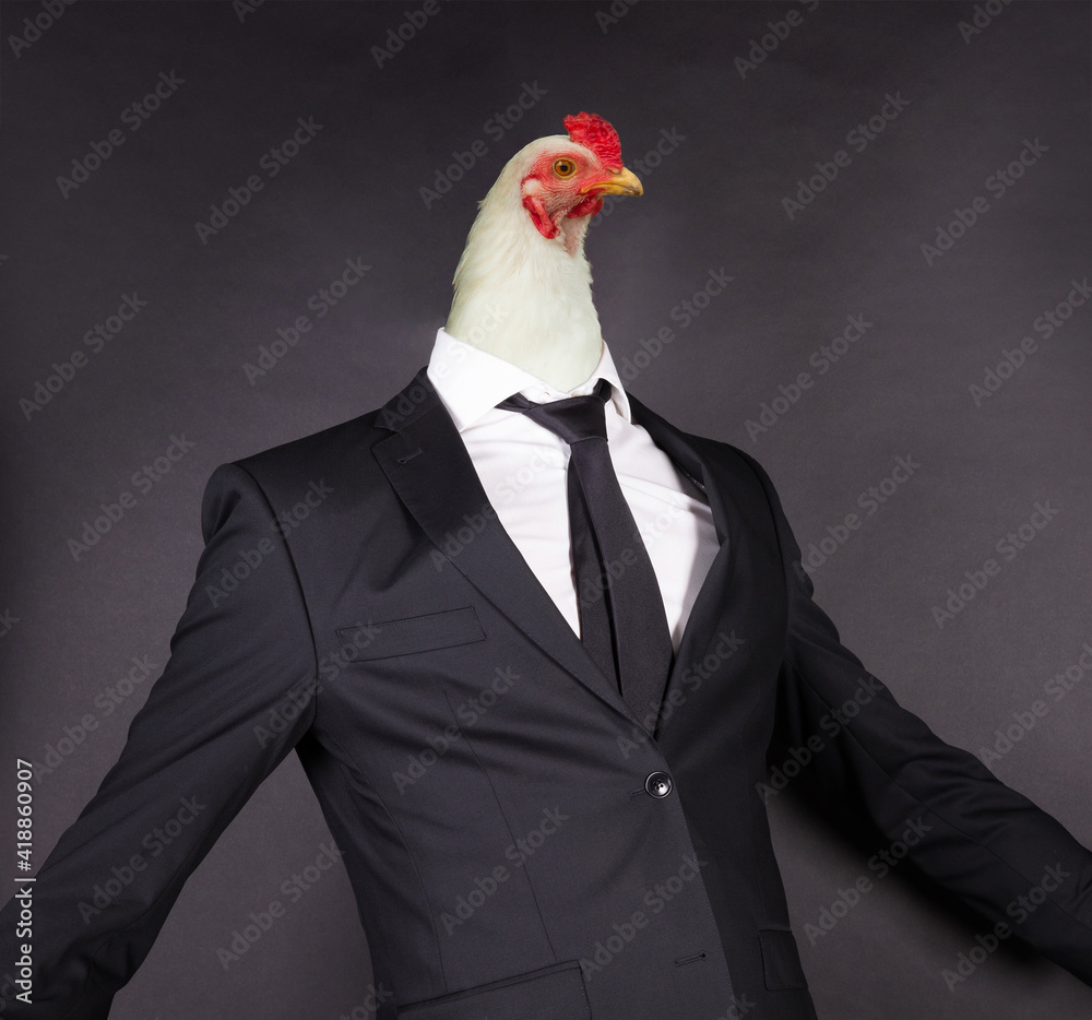 Chicken head in a black suit - obrazy, fototapety, plakaty 