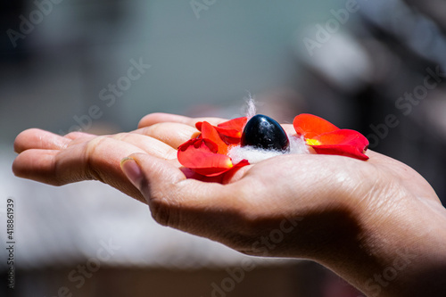 Stock photo of a man holding and worshiping shivlinga which is icon of lord shiva on the occasion of mahashivratri , flowers around the shivlinga in bright sunlight at Bangalore city karnataka India. photo