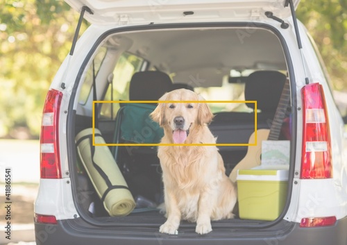 Composition of dog sitting in open boot of car with yellow outline rectangle frame over face