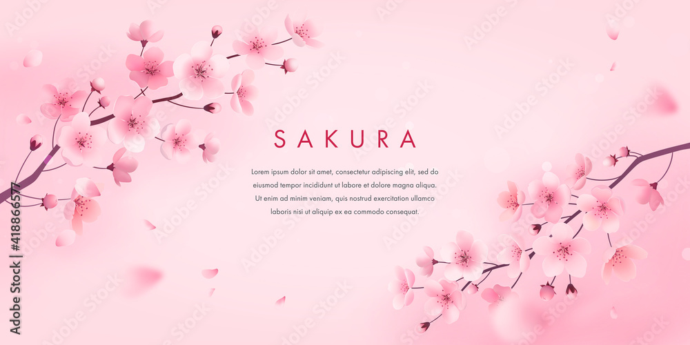 Spring cherry blossom horizontal banner. Vector illustration of realistic blossoming sakura flowers. Floral background for poster, brochures, booklets, promotional materials, website