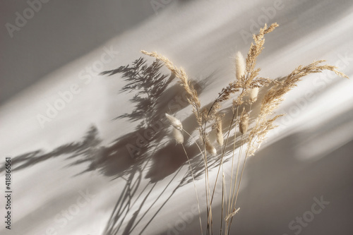 Obraz na plátně Close-up of beautiful dry grass bouquet