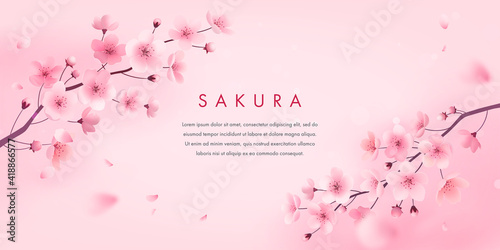 Spring cherry blossom horizontal banner. Vector illustration of realistic blossoming sakura flowers. Floral background for poster, brochures, booklets, promotional materials, website photo
