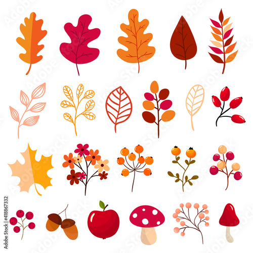 Autumn elements collection