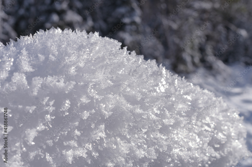 Fototapeta premium Large crystals on the snow surface on a sunny winter day. Winter background