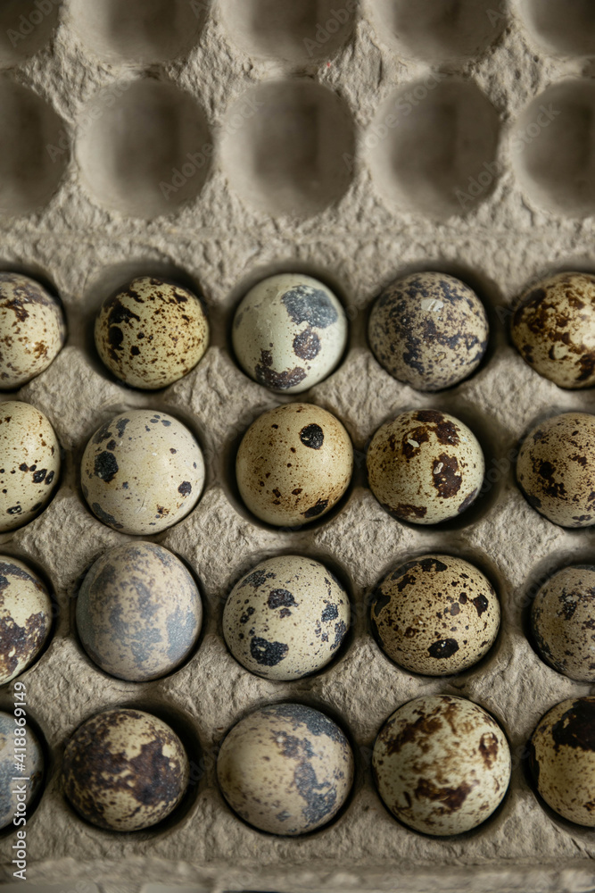 close up of a bunch of eggs on a white background close up of a bunch of eggs on a white background