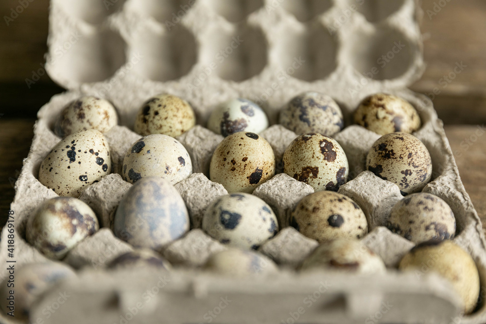 Obraz premium quail eggs in a box