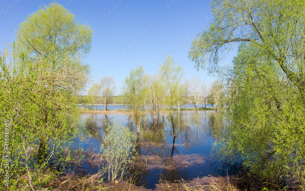 Fototapeta premium Flooded low shore of river with willows on a foreground