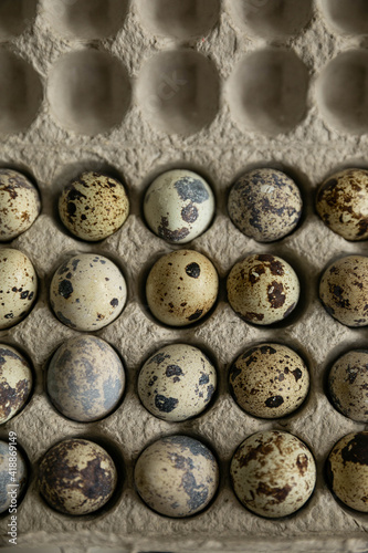close up of a bunch of eggs on a white background