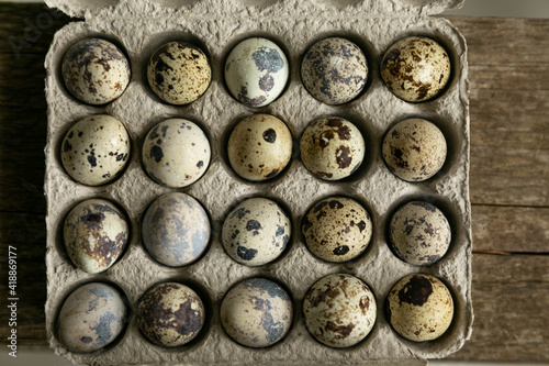 Quail egg in an egg box