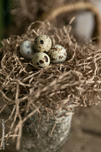 quail eggs in a nest