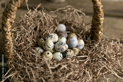 quail eggs in a nest