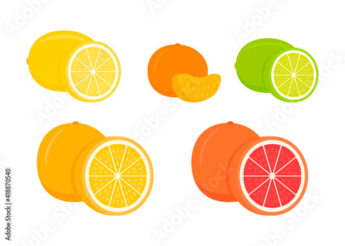 Set of citrus lemon, mandarin, lime, orange, grapefruit - whole, cut half. Fresh sour citrus fruit with vitamins. Piece and slice citrus. Vector illustration isolated on white background