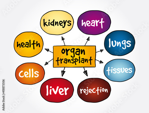 Organ Transplant mind map, medical concept for presentations and reports