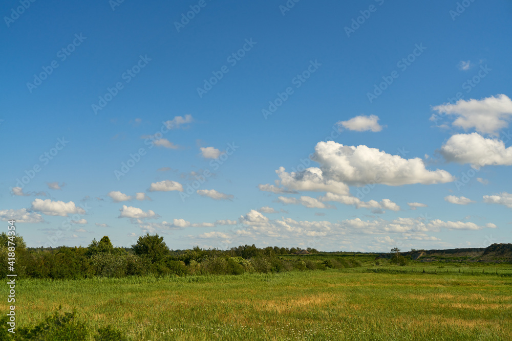 Meadow as a landscape with sky and clouds in summer