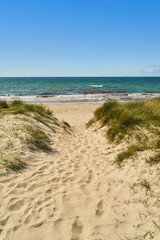 Fototapete Abstieg zum Strand Dünenpfad zum Sandstrand der Ostsee  © Robert Kneschke