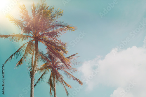 Tropical palm coconut trees on sunset sky flare and blue sky background. © ant