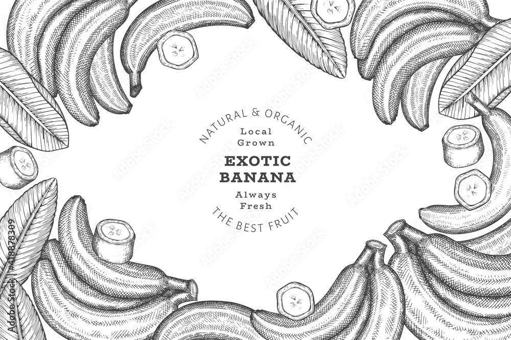 Obraz premium Hand drawn sketch style banana banner. Organic fresh fruit vector illustration. Retro exotic fruit design template