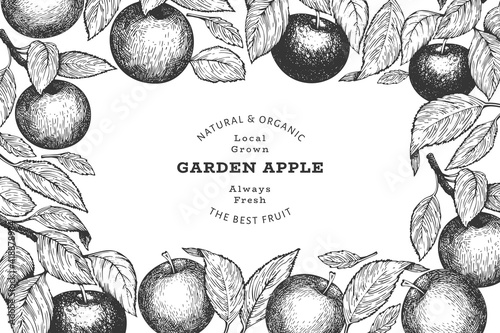 Apple branch design template. Hand drawn vector garden fruit illustration. Engraved style fruit retro botanical banner.