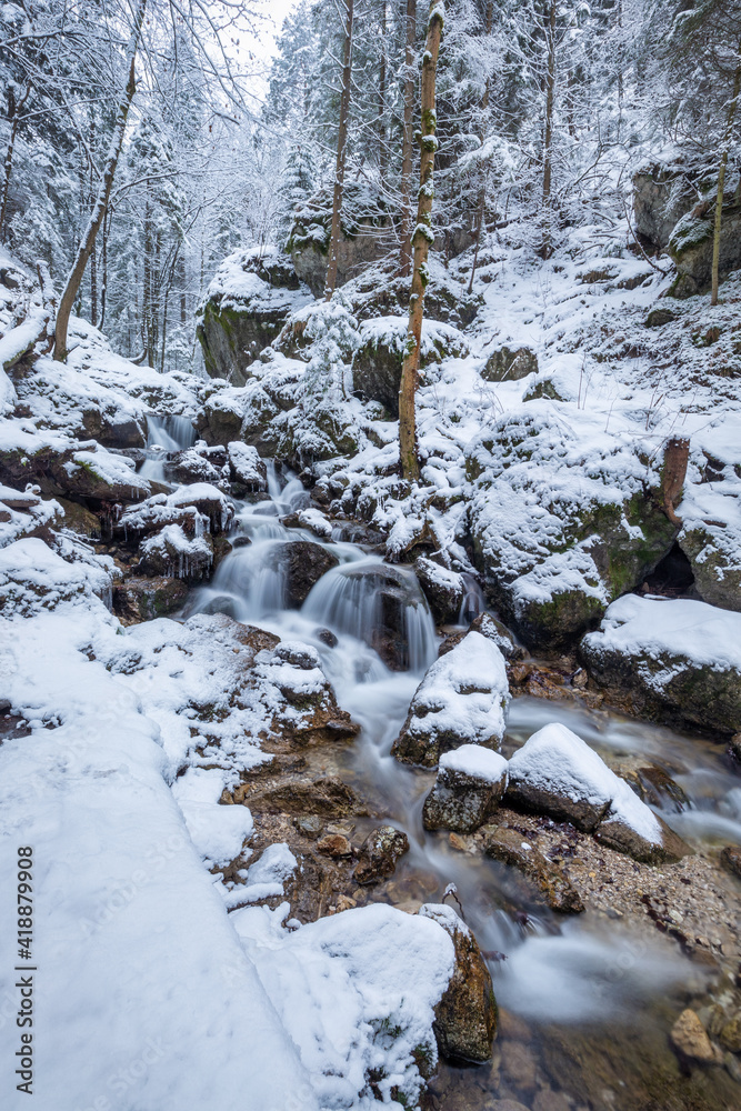 Winter landscape with a wild stream and waterfalls through a narrow gorge and canyon covered with snow and ice. The Mala Fatra national park in Slovakia, Europe. Winter landscape with a wild stream and waterfalls through a narrow gorge and canyon covered with snow and ice. The Mala Fatra national park in Slovakia, Europe.