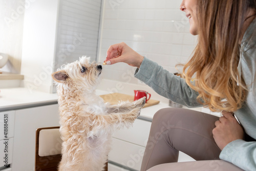 Close up of a Young girl gives a snack to her dog at home
