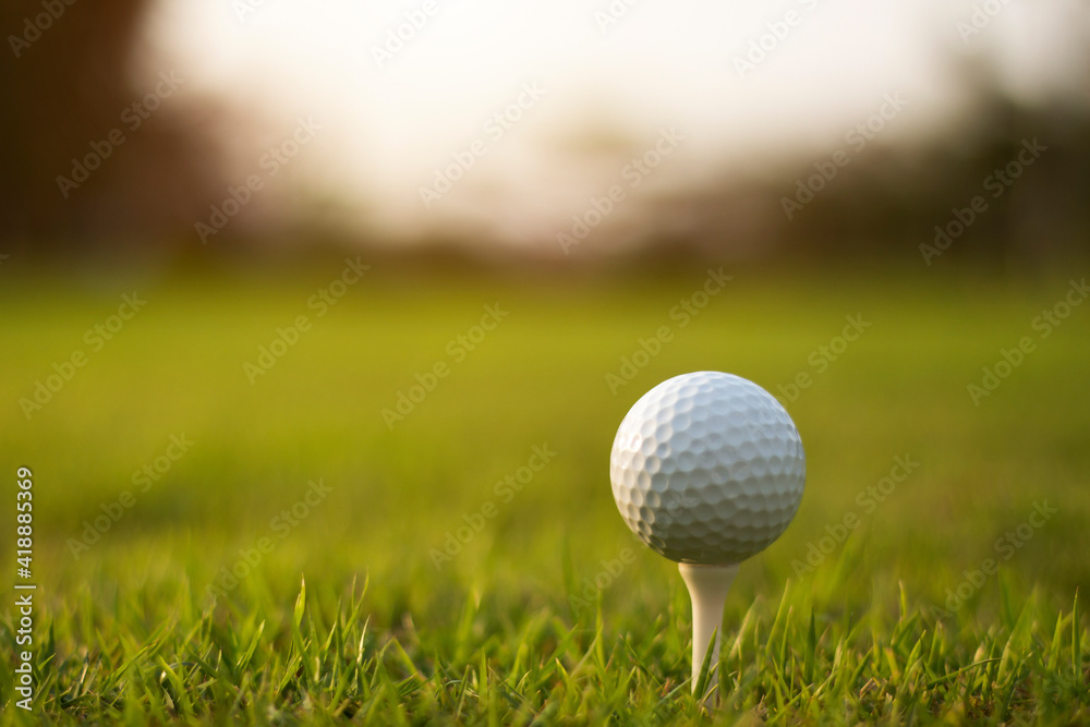 golf ball on tee in a beautiful golf course with morning sunshine golf ball on tee in a beautiful golf course with morning sunshine