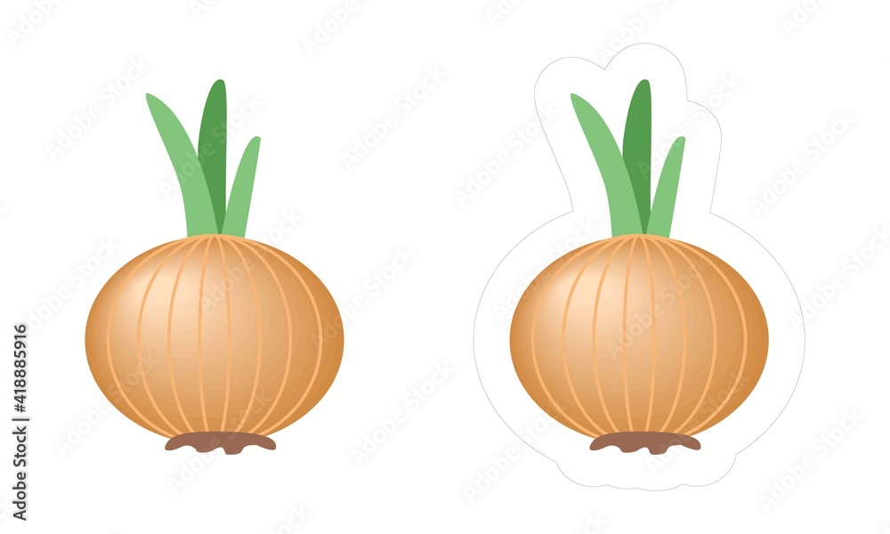Obraz premium Cartoon vector bulb onion icon for kids gardening or farming game. Edible vegetable sticker with white die cut outline