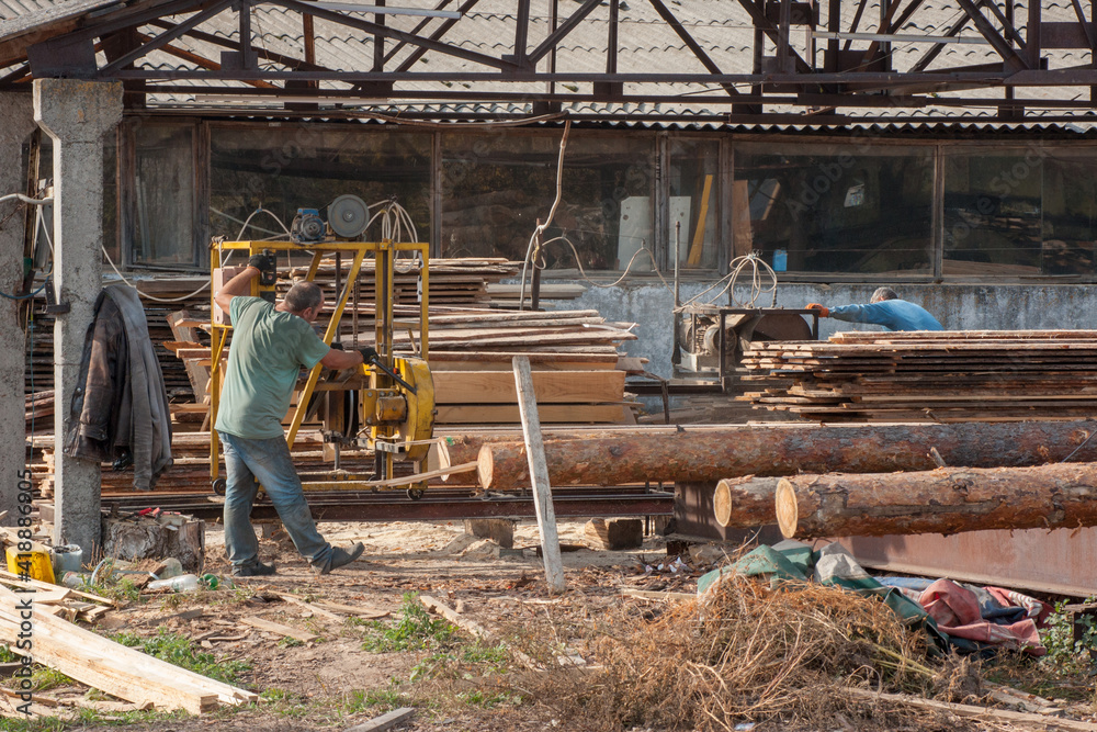 powersaw bench, sawmill, process of machining of a tree, sawing of a