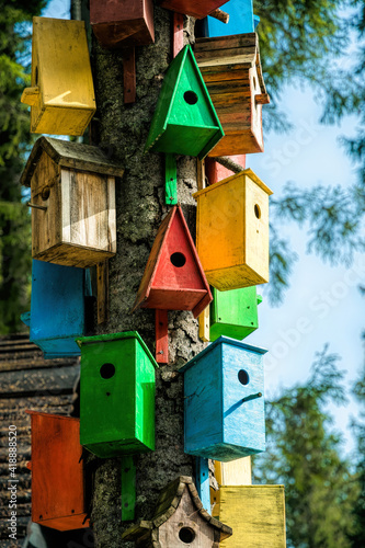 Multicolored colorful birdhouses for birds in the spring sunny forest