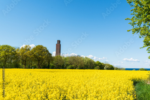 Rapsfeld in voller Blüte an der Ostseeküste in Schleswig-Holstein photo