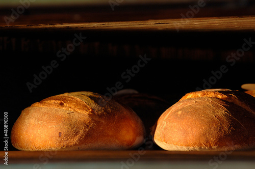 Obraz na plátně Altamura bread is a traditional bakery product from Altamura,  produced with re-milled durum wheat varieties grown in the territories of the municipalities of the Murgia