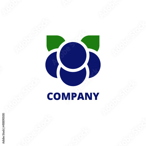 blueberry logo