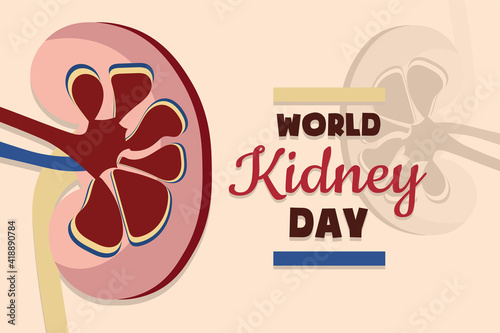 world kidney day healthcare medical poster and banner, vector