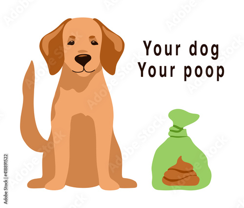 Pet poop in plastic bag isolated on white background. Cute vector illustration labrador retriever. Clean up after your dog poo, excrement. Design for publish park, banner, flyer, web, sign, icon.