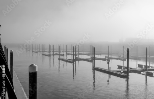 marina in fog