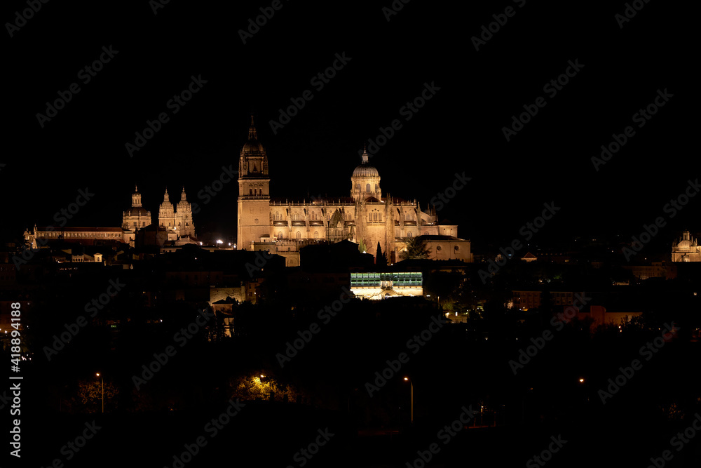 Night view of the city of Salamanca (Spain)