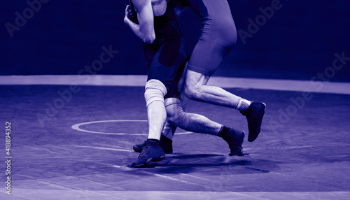 Εκτύπωση καμβά Two strong wrestlers legs  on a blue wrestling carpet in the gym