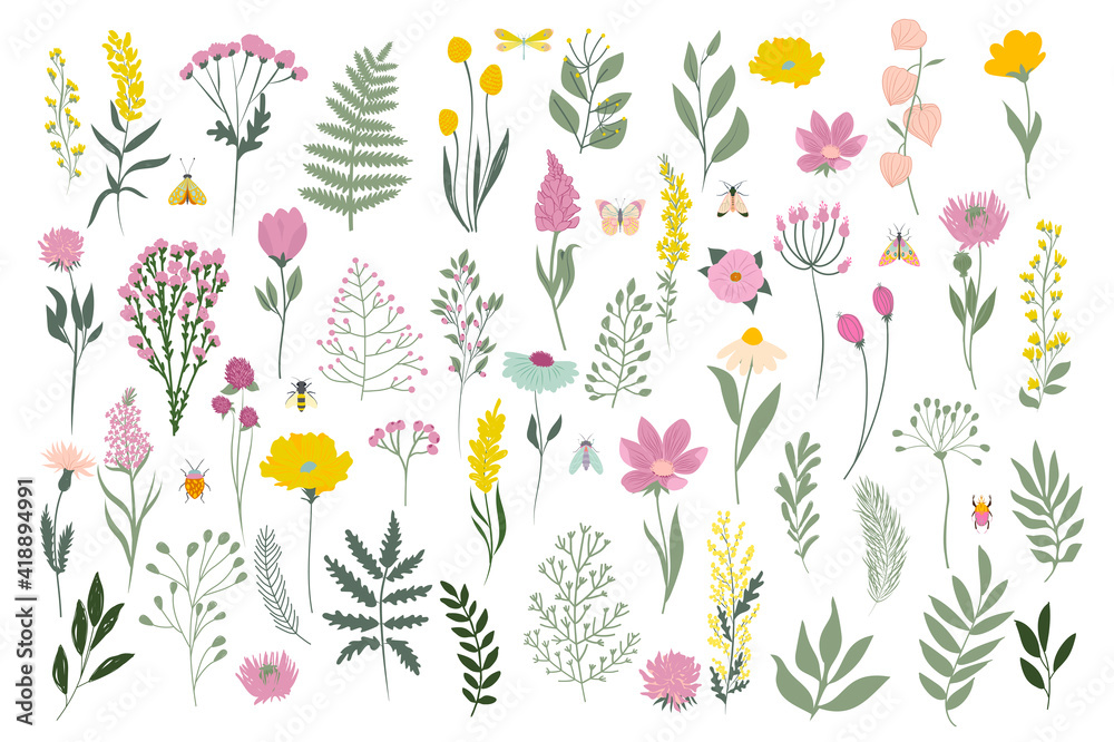 Collection of meadow flowers and leaves. Botanic spring collection. Editable vector illustration. Collection of meadow flowers and leaves. Botanic spring collection. Editable vector illustration.