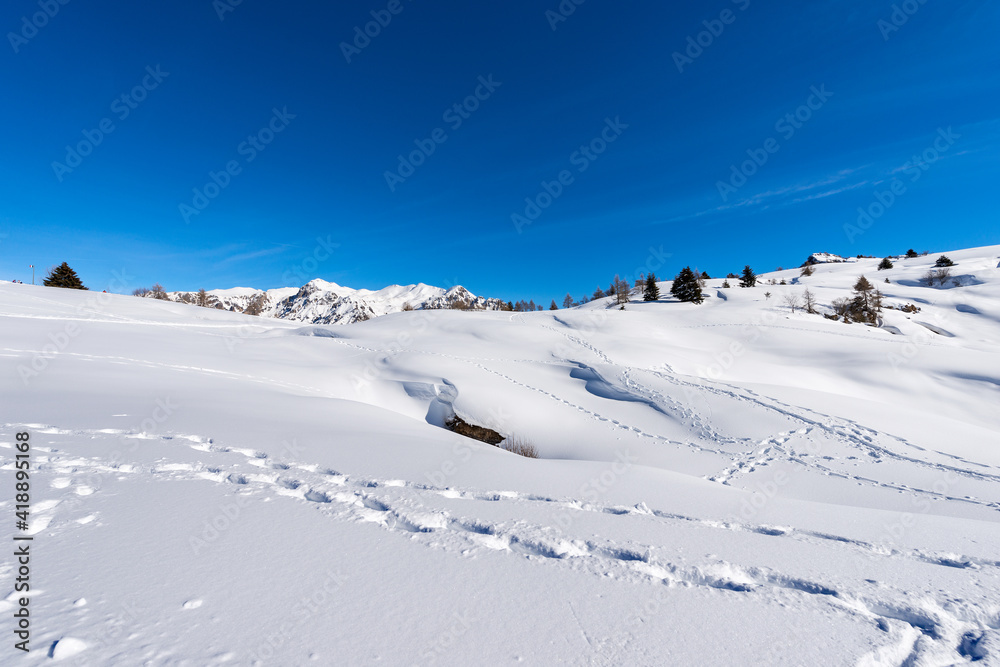 Lessinia High Plateau (Altopiano della Lessinia) and Carega Mountain (Monte Carega) also called the Small Dolomites, in winter with snow. Veneto and Trentino-Alto Adige, Italy, Europe.