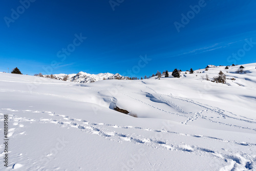 Lessinia High Plateau (Altopiano della Lessinia) and Carega Mountain (Monte Carega) also called the Small Dolomites, in winter with snow. Veneto and Trentino-Alto Adige, Italy, Europe. © Alberto Masnovo