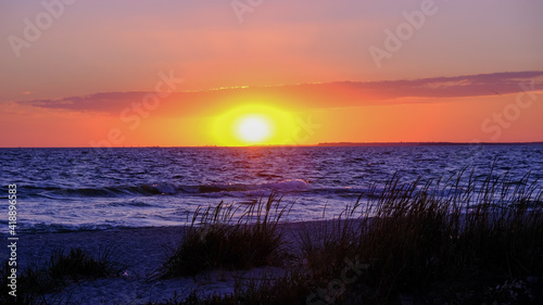 bright big red setting sun on the sea, deserted beach with sand and reed grass, large horizontal cloud above the sun © Oleksii
