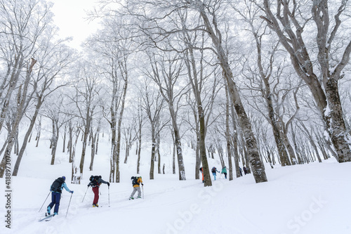 山スキー　雪山を行く　信州鍋倉山