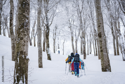 山スキー　雪山を行く　信州鍋倉山