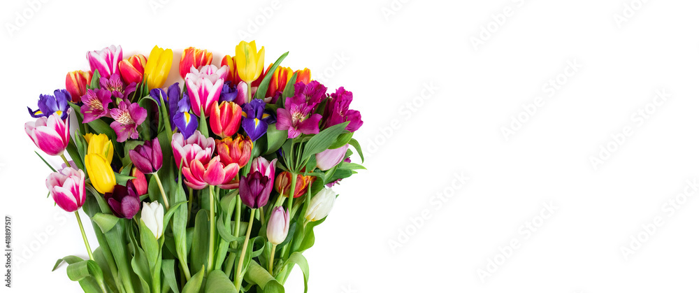 Flower composition. Beautiful colorful spring flowers isolated on a white background. Mothers Day, Womens Day concept. Copy space, top view, flat lay.