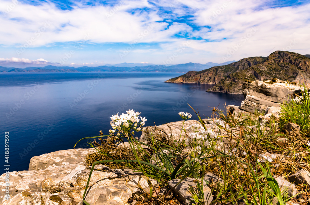 White wild flowers at the edge of a cliff, with Mediterranean sea and some mountain ranges in the background, shallow focus
