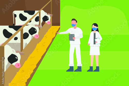 Livestock vector concept: Veterinarian checking the cattle in the farm while wearing face mask in new normal