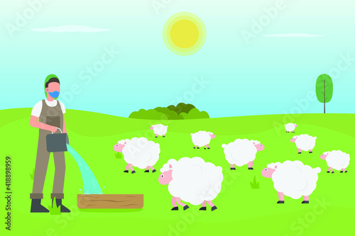 Livestock vector concept: Young farmer feeding his sheep in the farm while pouring water on the bucket