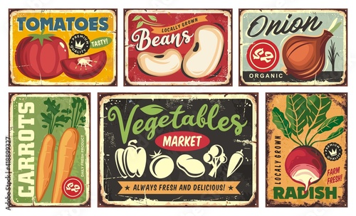 Signs and advertisement collection with farm fresh organic vegetables. Tomato, bean, onion,carrot, radish, pepper, potato, chili graphics and vectors. Natural healthy food market.