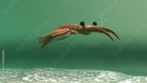 Photography Anomalocaris in the sea