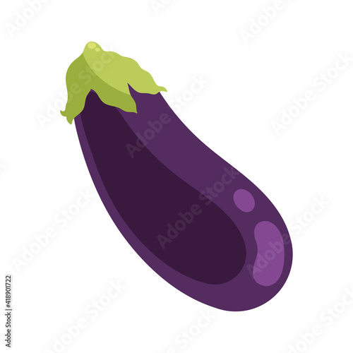 eggplant fresh vegetable