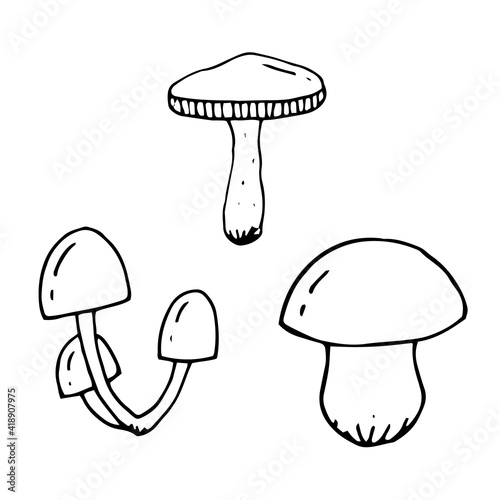 Set of edible mushrooms. Vector hand-drawn doodle illustration. Black and white outline. Silhouette. Coloring.